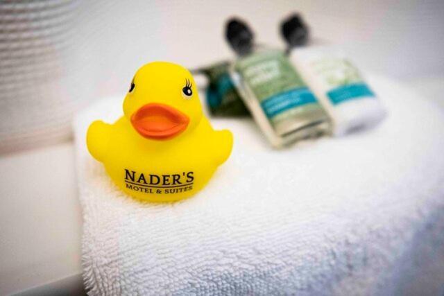 Nader'S Motel & Suites Ludington Luaran gambar